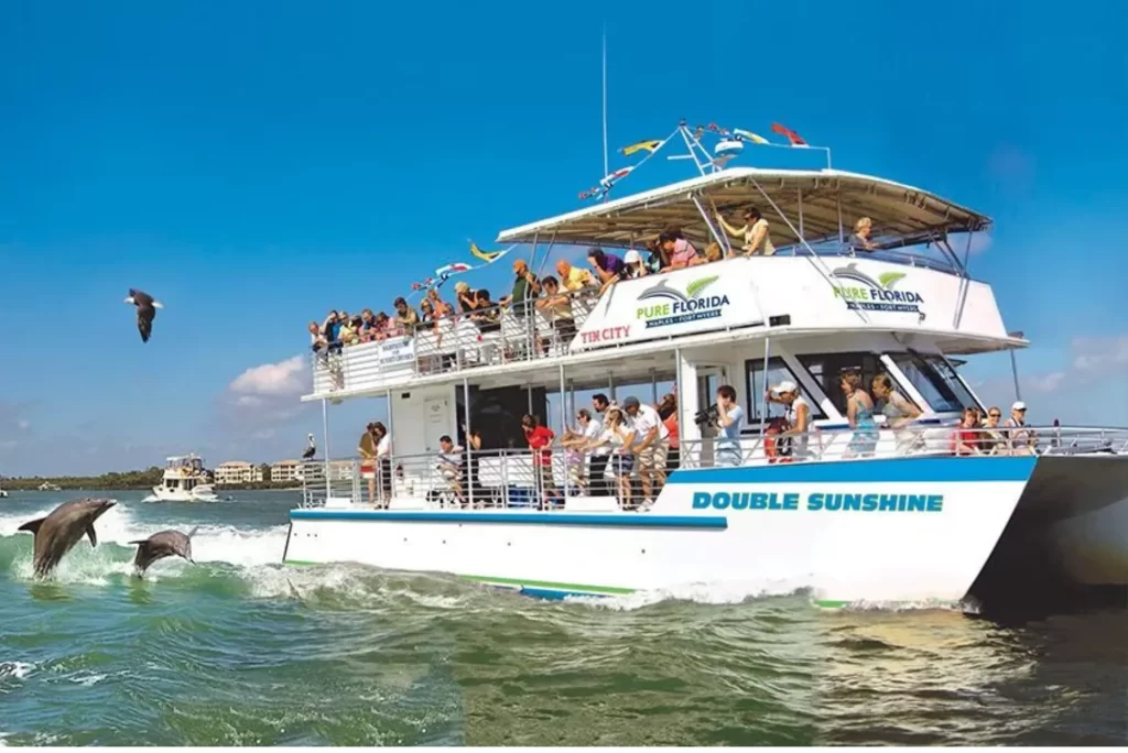 Naples Dolphin Tour