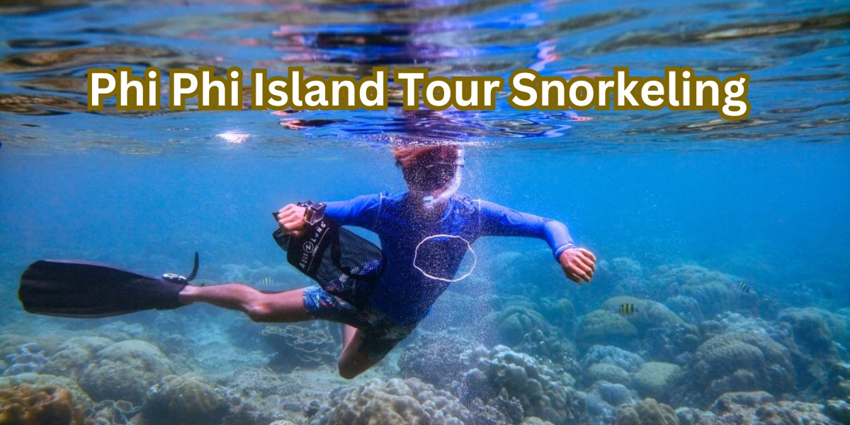 Phi Phi Island Tour Snorkeling