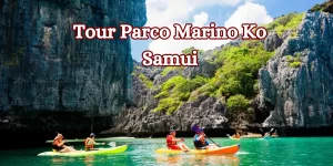 Tour Parco Marino Ko Samui 