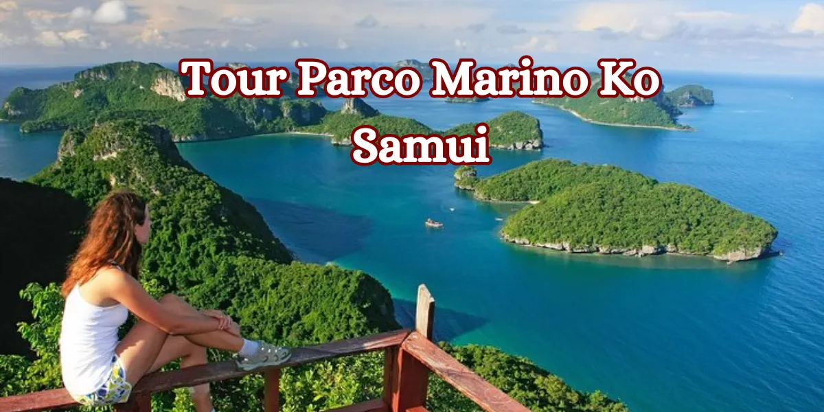 Tour Parco Marino Ko Samui