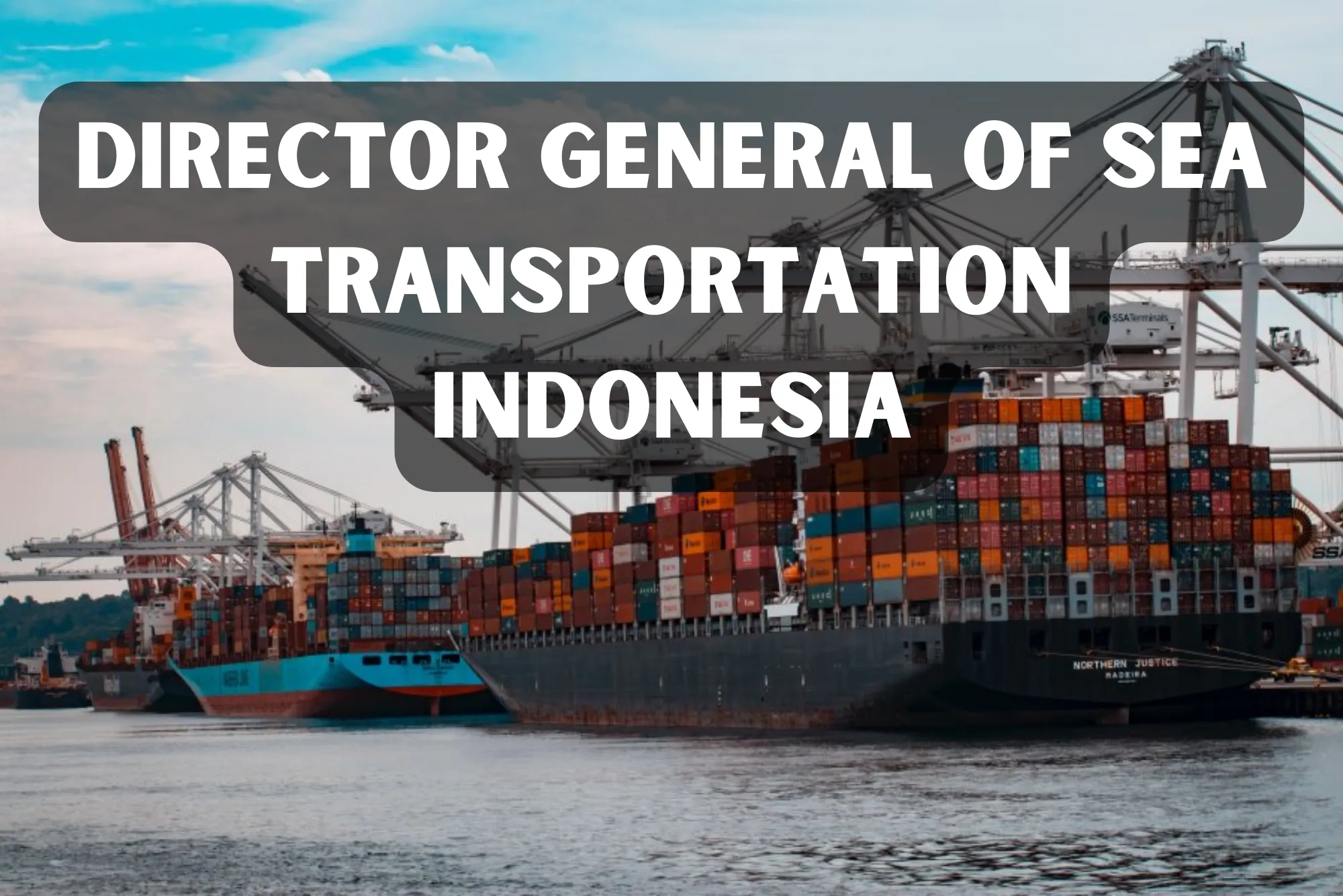 Director General of Sea Transportation Indonesia