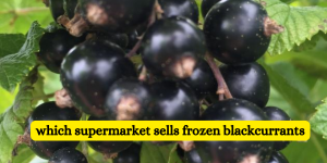 which supermarket sells frozen blackcurrants