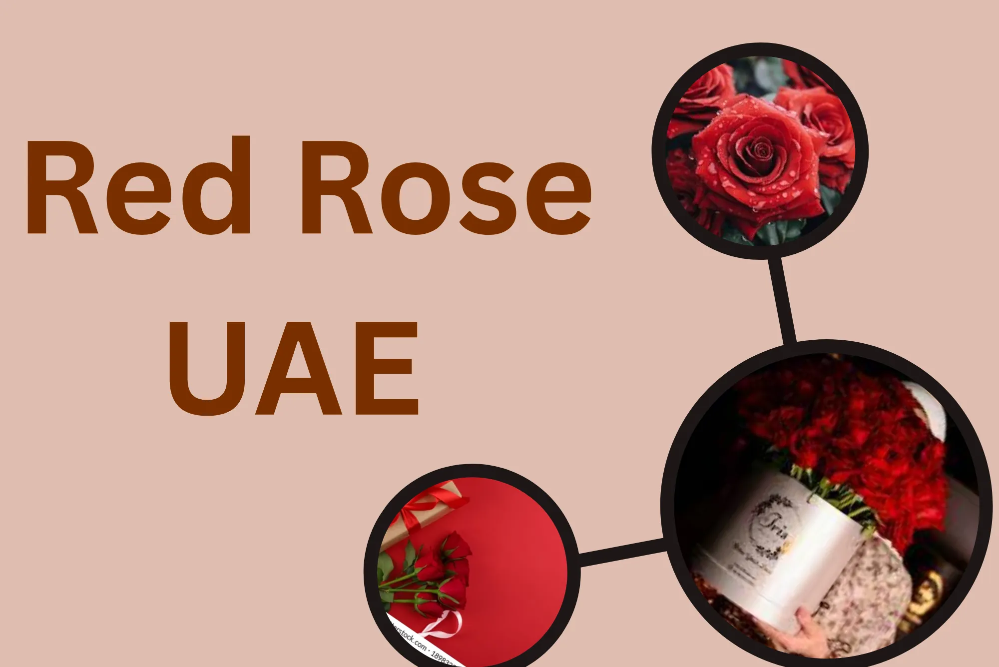 Red Rose UAE explained for first-time caregivers