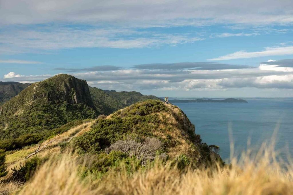 7 Best Hikes Near Auckland You Can Do This Weekend