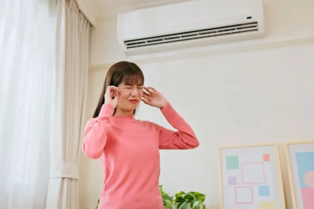 Ac Noise Reduction Service