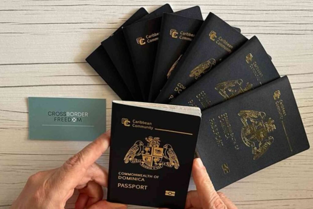 Dominican Visa Price for Haitian in 2026 Latest Fees, Cost & Charges
