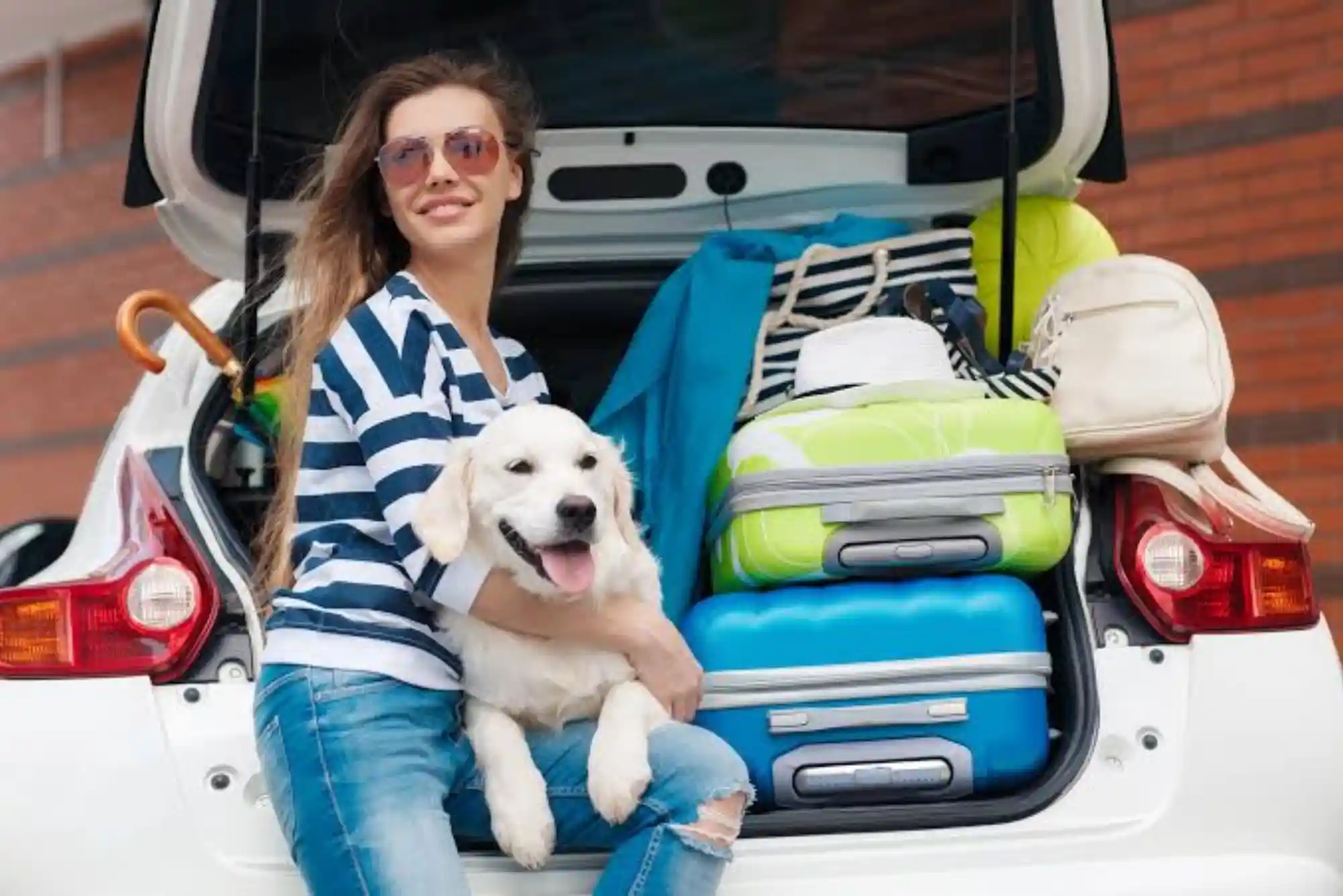 Road Tripping with Dogs: 10 Essential Safety Tips and Packing Checklist